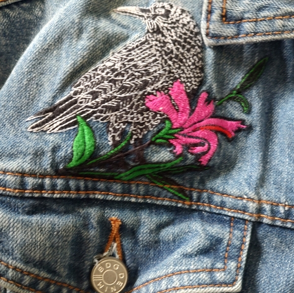 Urban Outfitters BDG Raven & Skull Embroidered Denim Jean Jacket XS S M Oversize - Picture 4 of 8